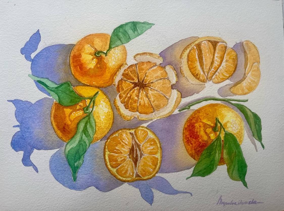 Sliced Mandarins - original watercolor painting