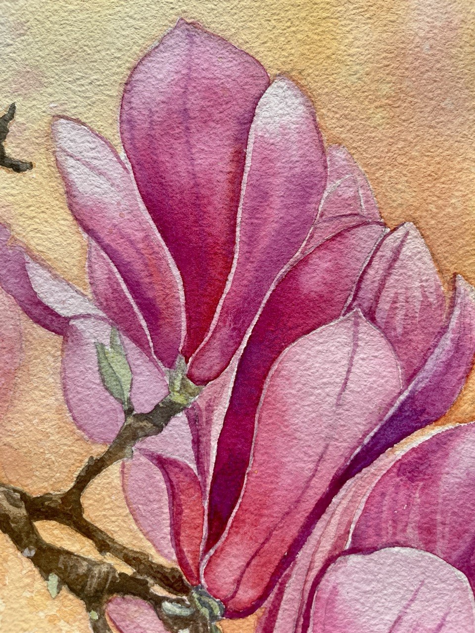 Blooming Magnolia - original watercolor painting