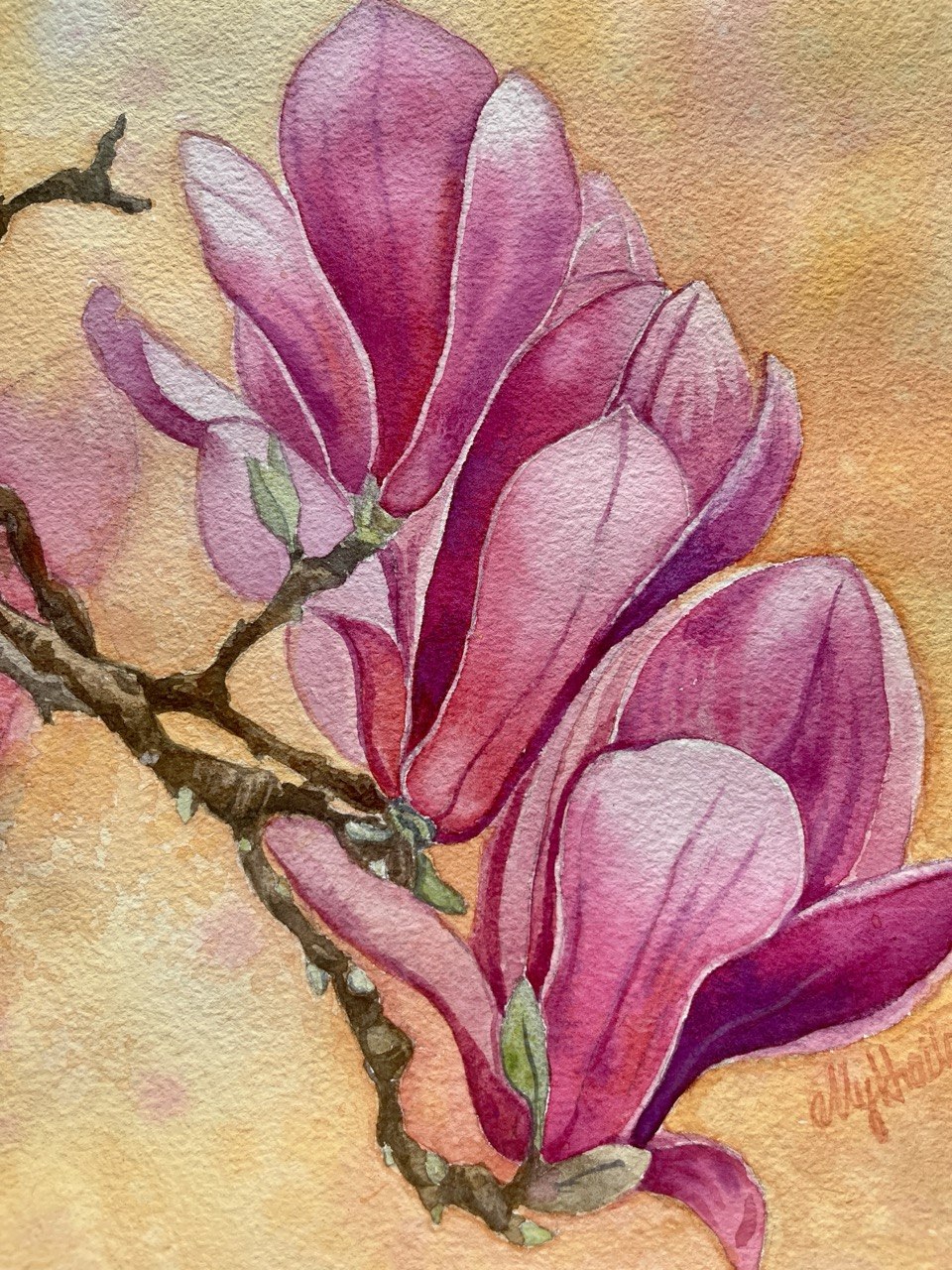 Blooming Magnolia - original watercolor painting