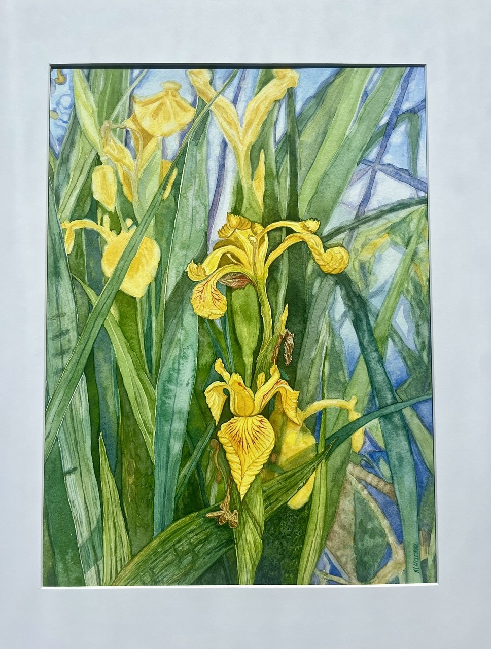 Yellow Flags - Original watercolour artwork