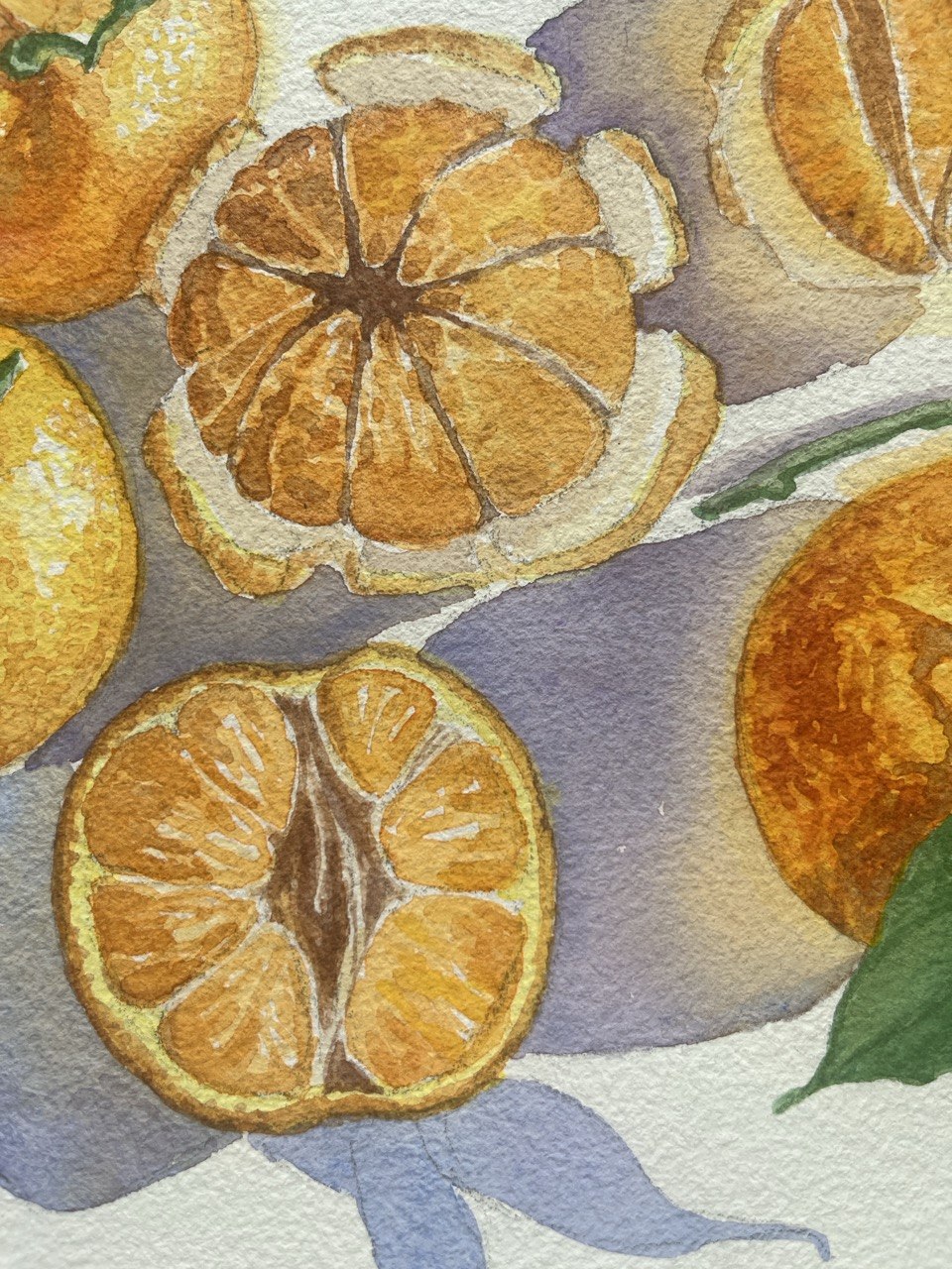 Sliced Mandarins - original watercolor painting