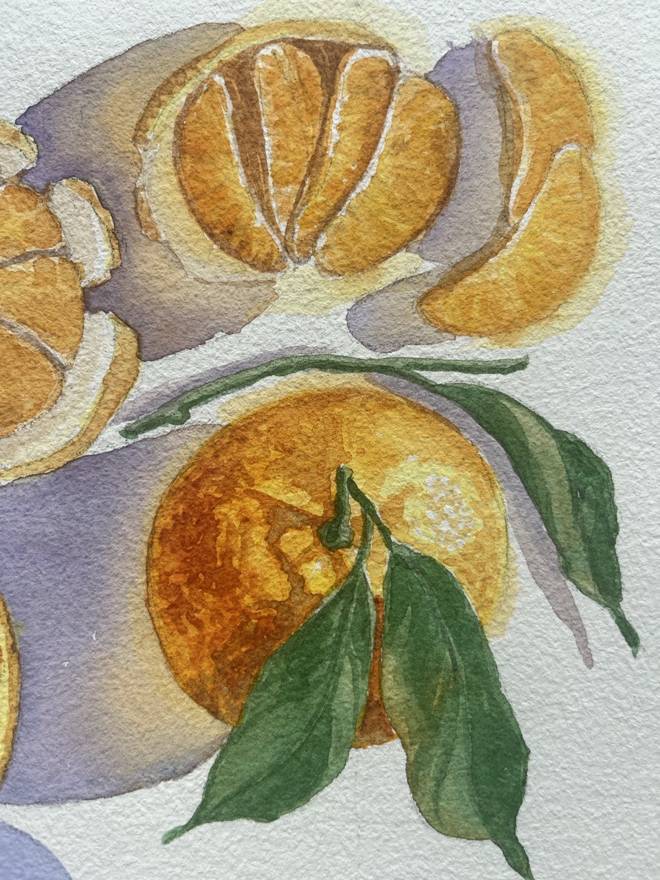 Sliced Mandarins - original watercolor painting