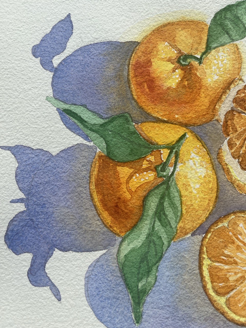 Sliced Mandarins - original watercolor painting
