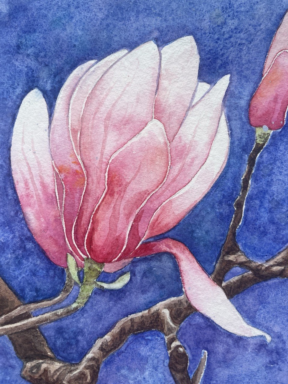 Magnolia - Original watercolour painting