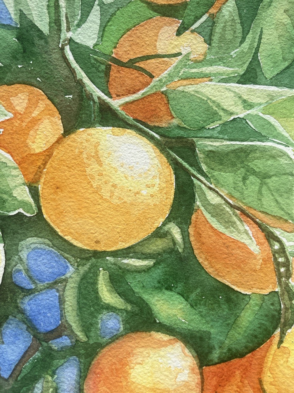 Oranges - original watercolor painting