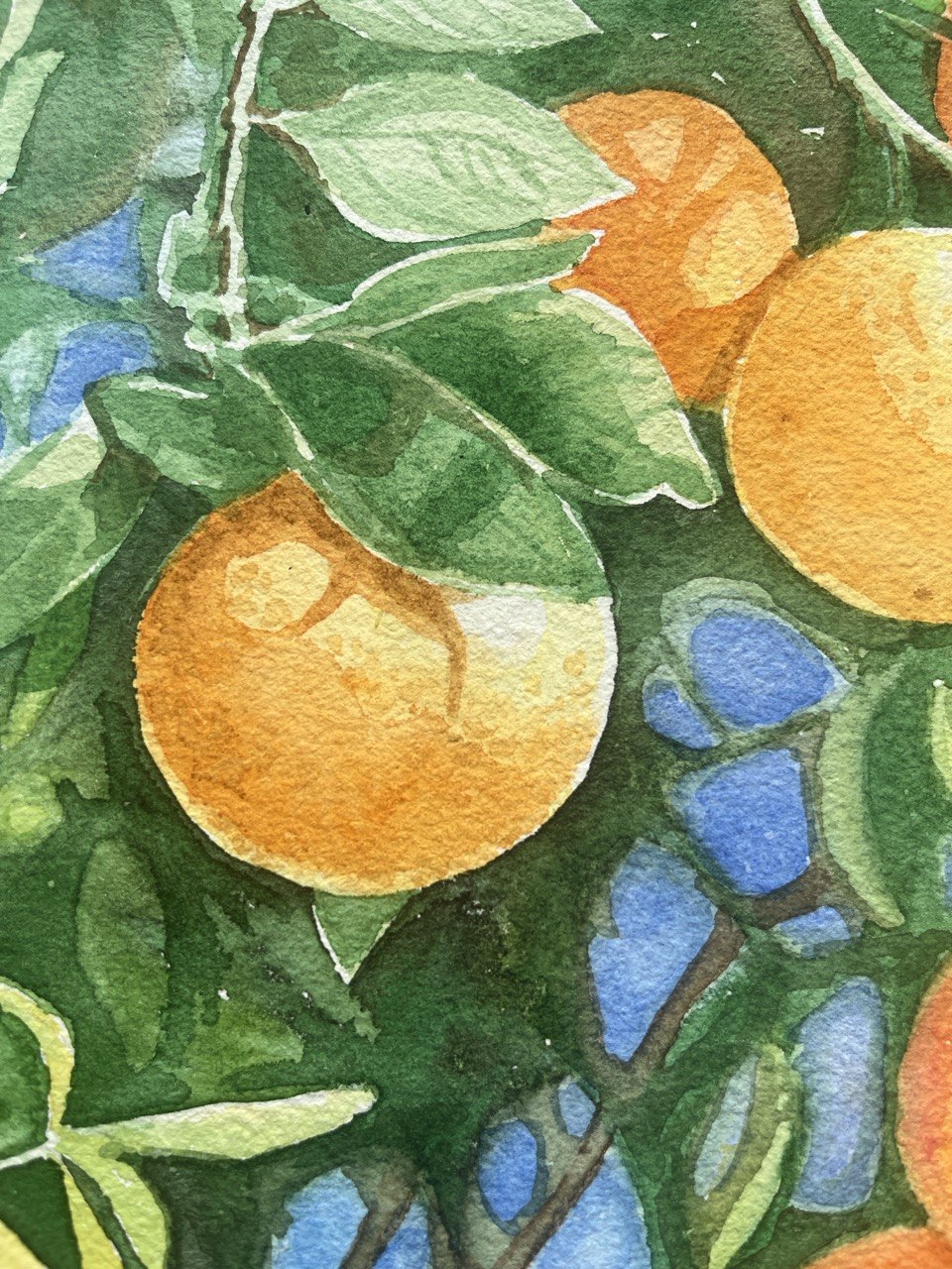 Oranges - original watercolor painting