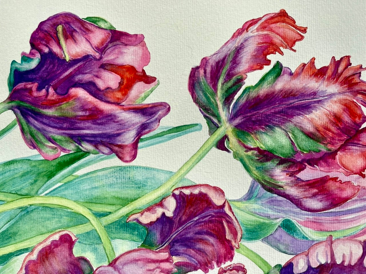 Tulips - Original Watercolor Painting A2 (42*59 cm)