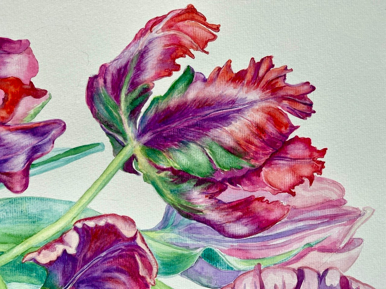 Tulips - Original Watercolor Painting A2 (42*59 cm)