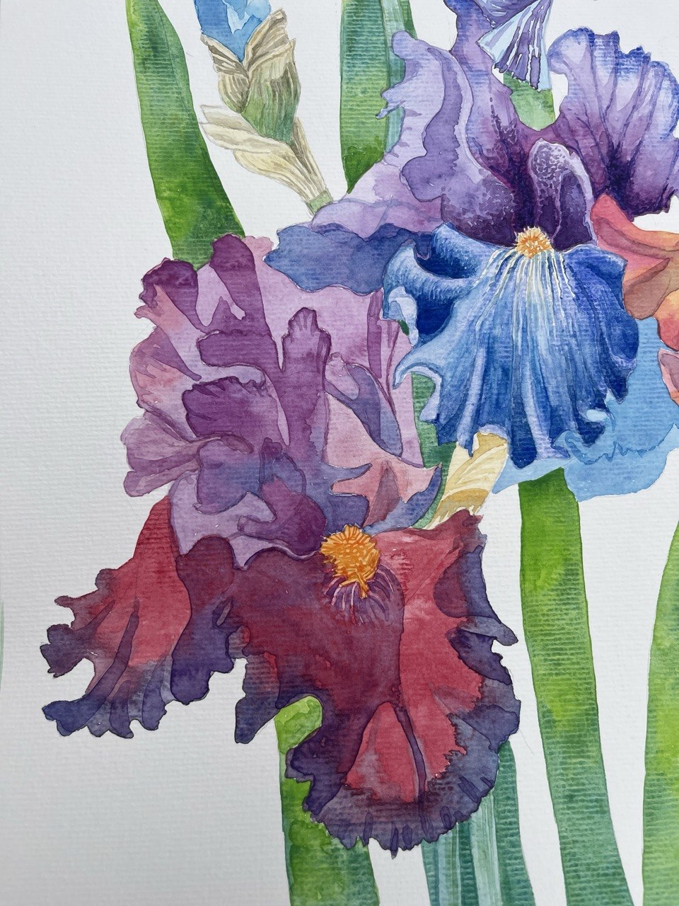 Irises-Original Watercolor Painting A2 (42*59,4 cm)