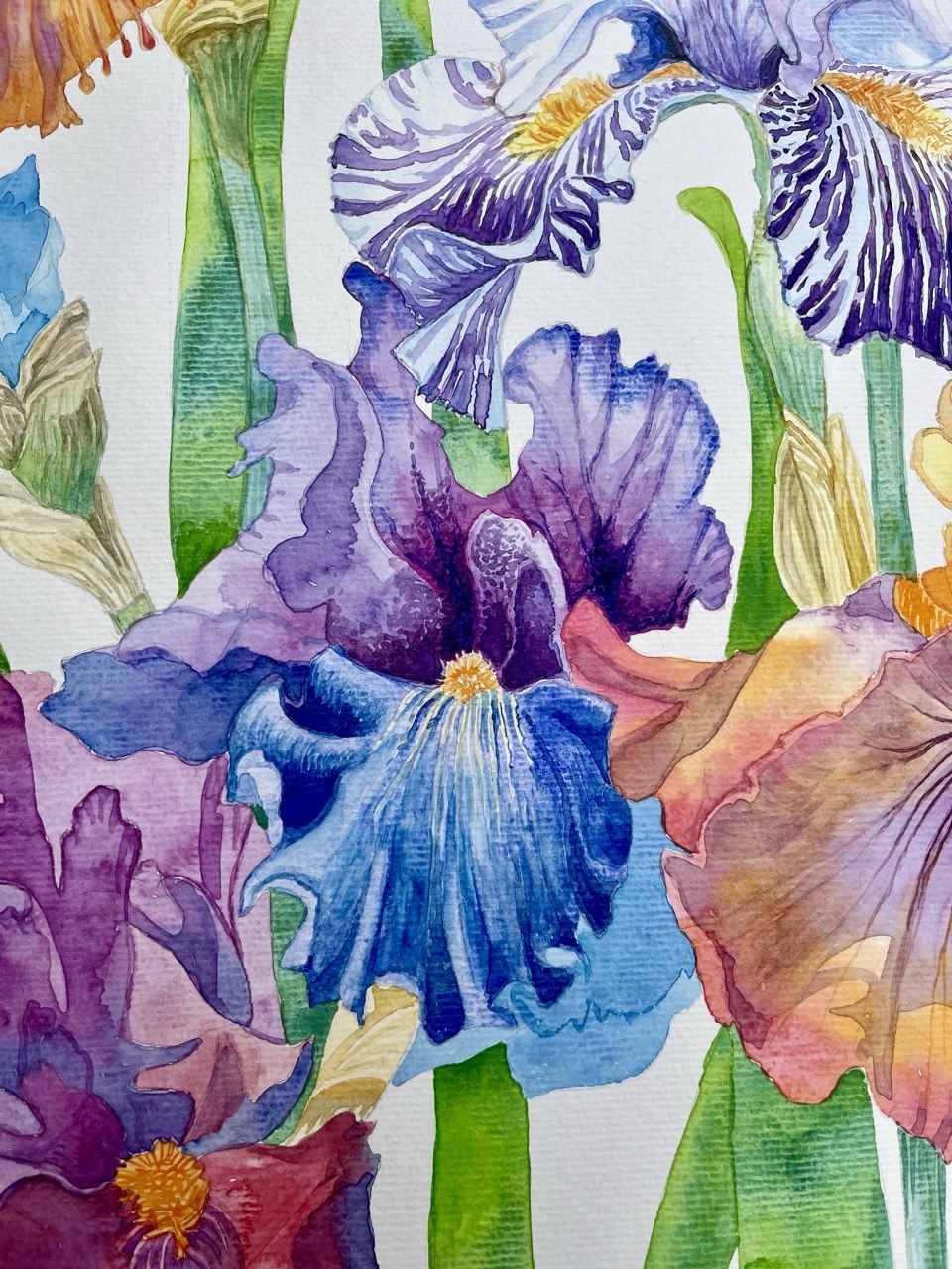 Irises-Original Watercolor Painting A2 (42*59,4 cm)