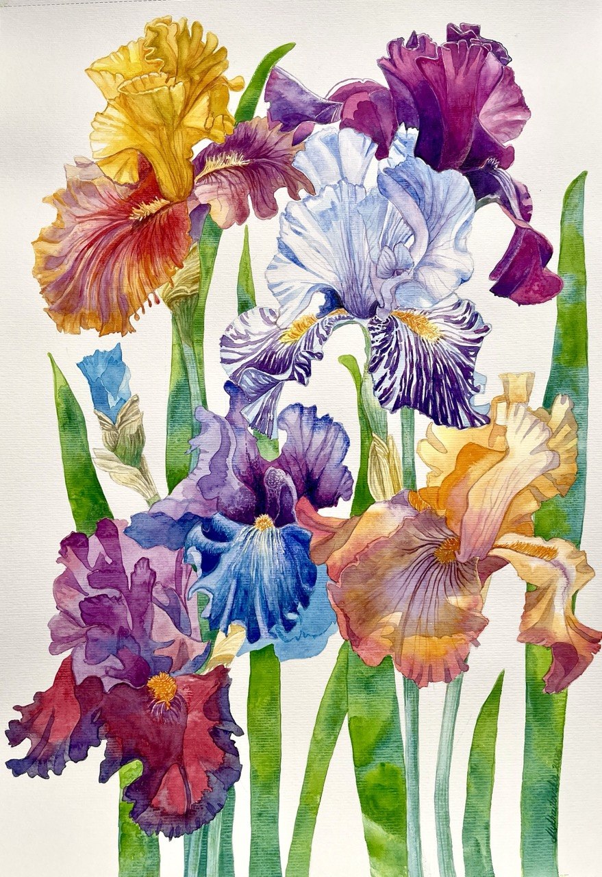 Irises-Original Watercolor Painting A2 (42*59,4 cm)