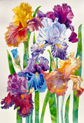 Irises-Original Watercolor Painting A2 (42*59,4 cm)