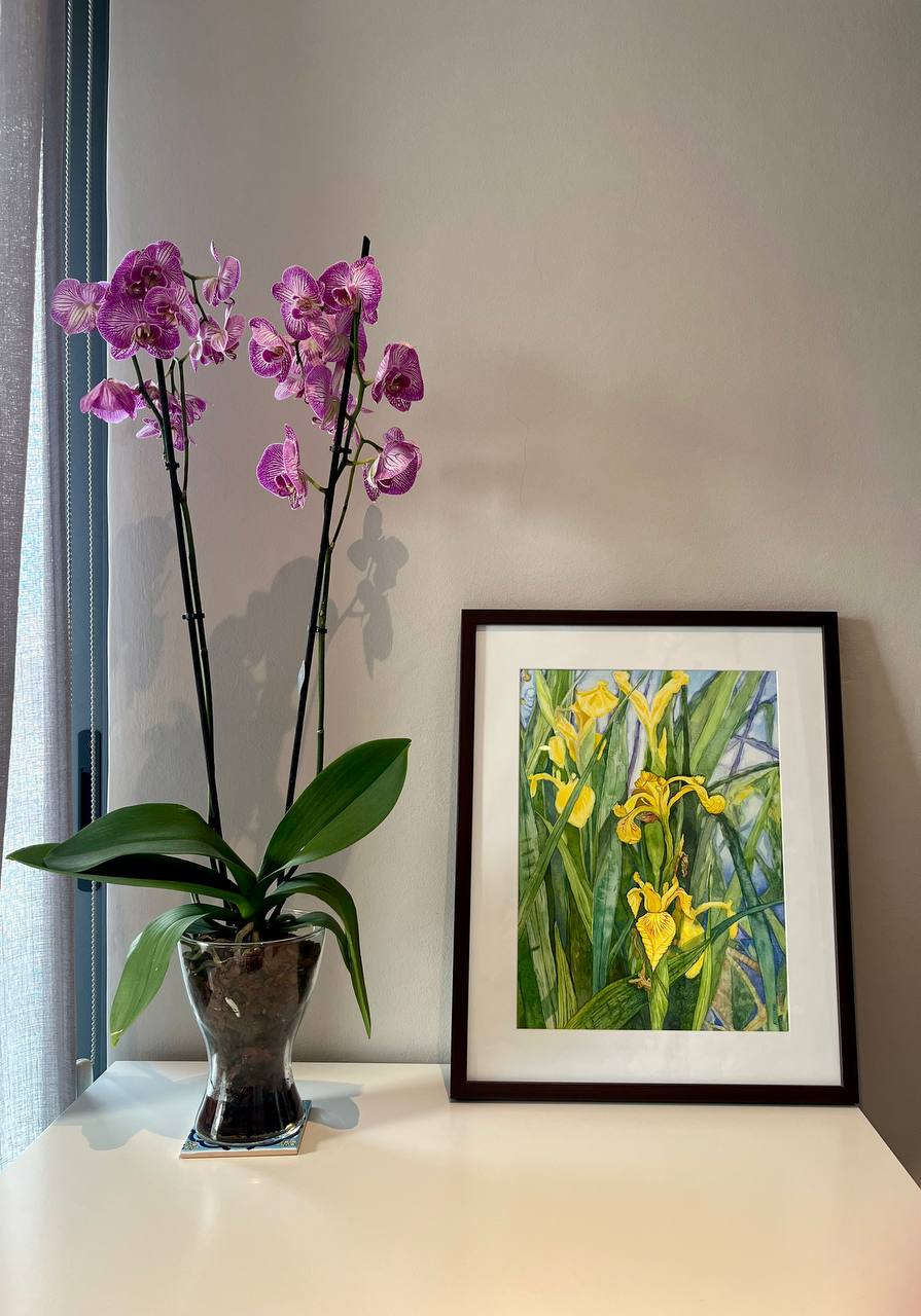 Yellow Flags - Original watercolour artwork