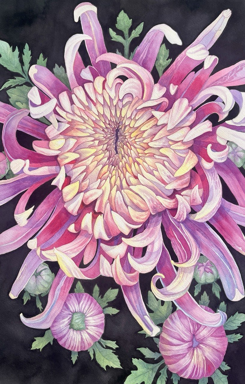 Dahlia | Original watercolor painting 75*57 cm