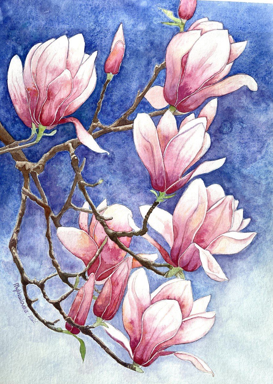 Magnolia - Original watercolour painting