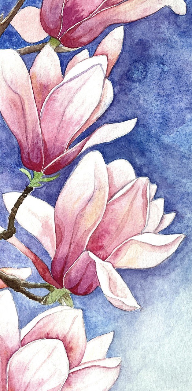 Magnolia - Original watercolour painting