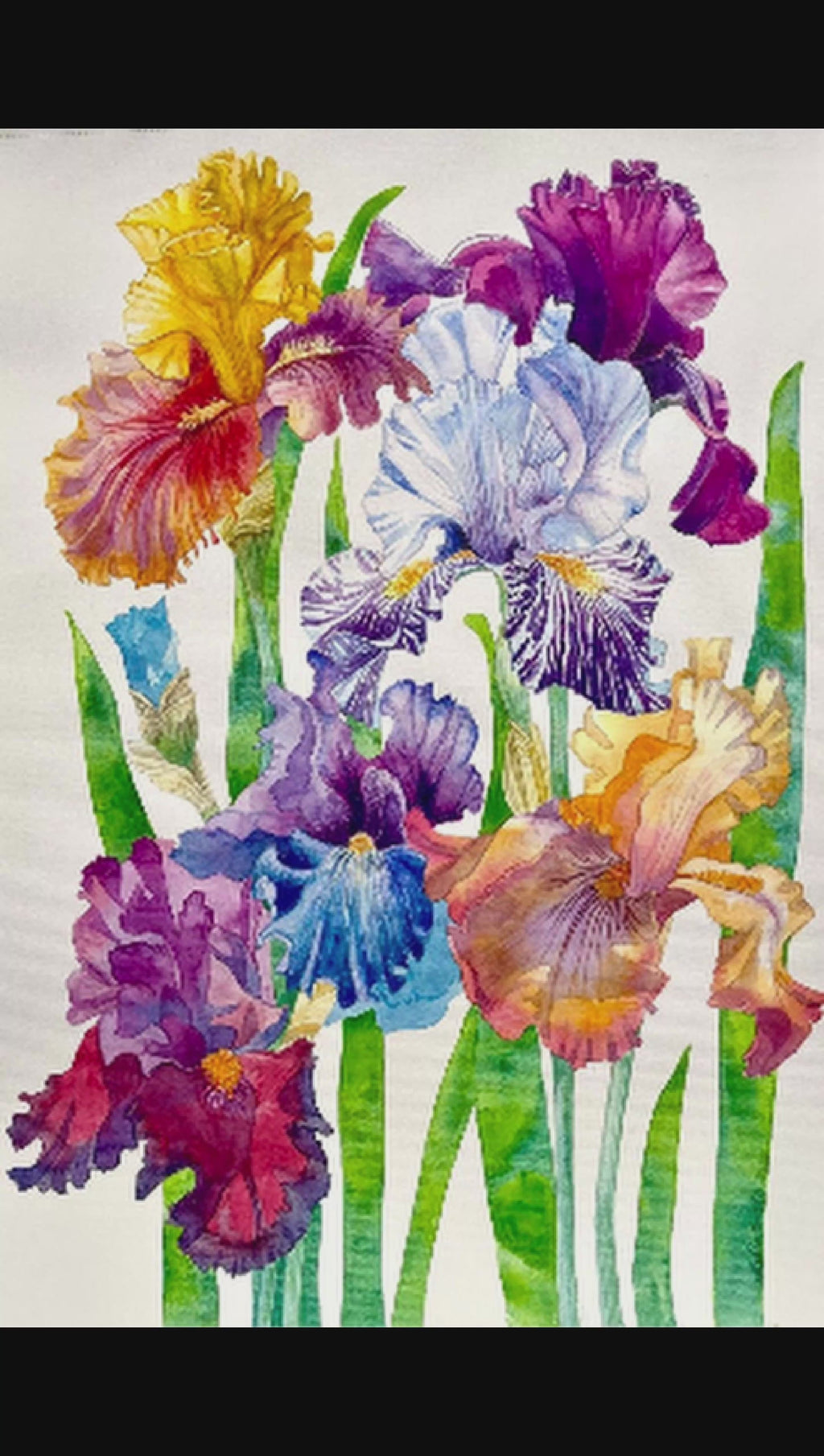 Irises-Original Watercolor Painting A2 (42*59,4 cm)