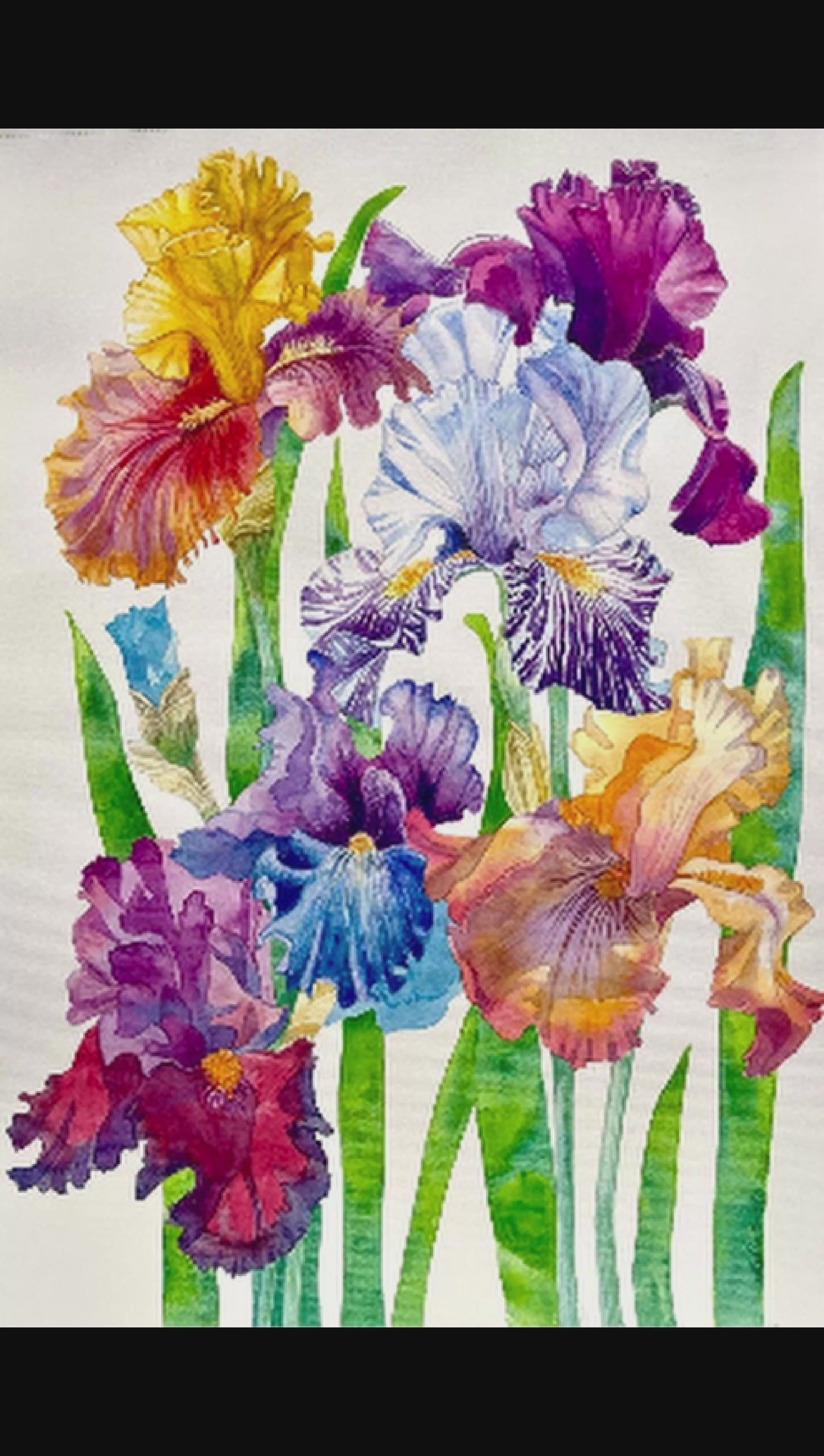 Irises-Original Watercolor Painting A2 (42*59,4 cm)