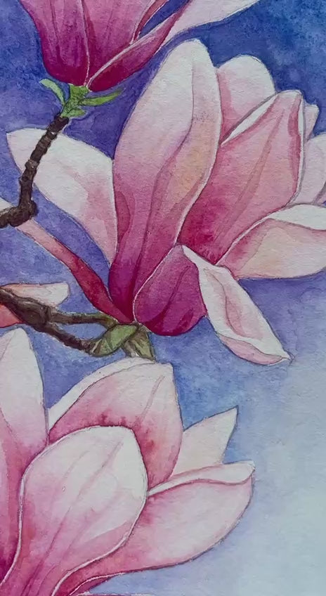 Magnolia - Original watercolour painting