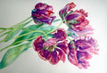 Tulips - Original Watercolor Painting A2 (42*59 cm)