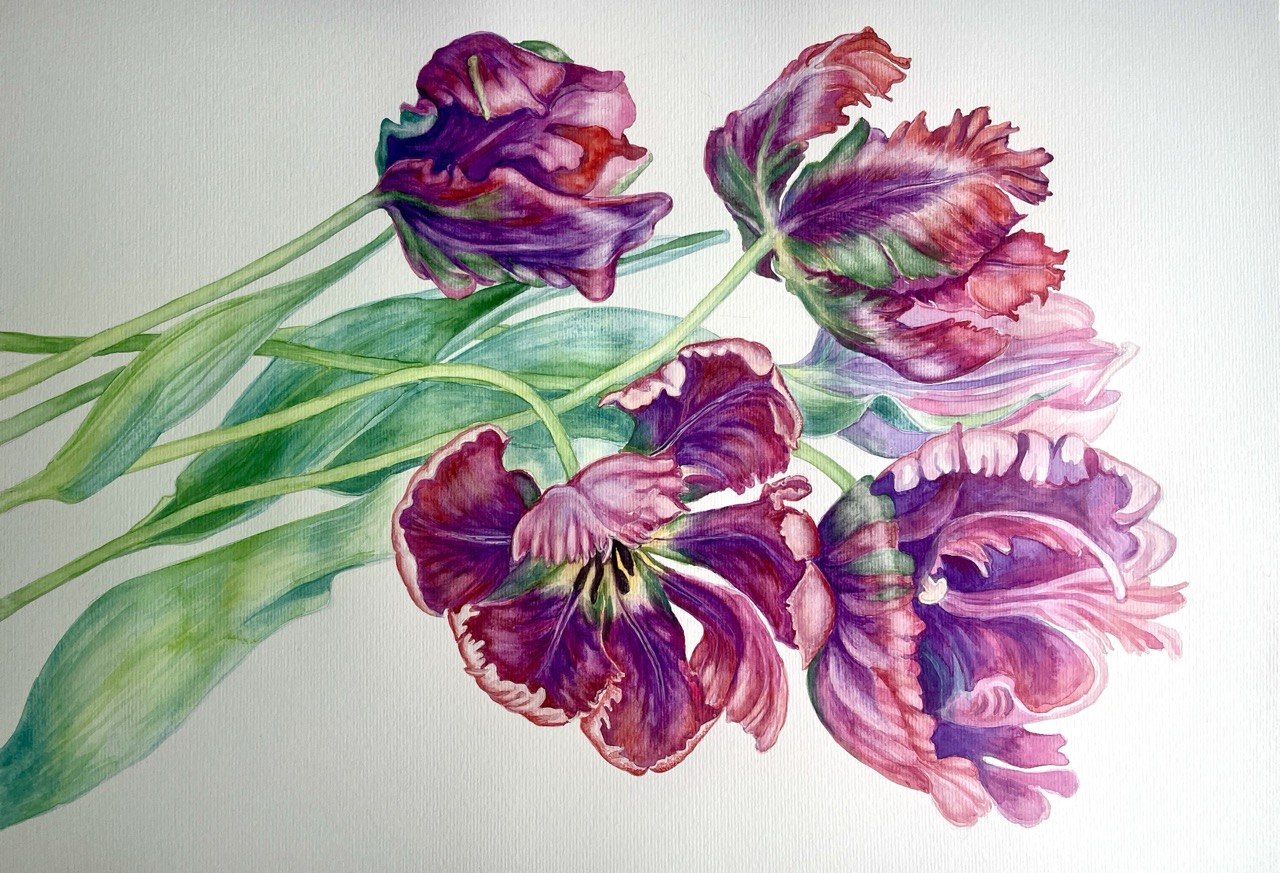 Tulips - Original Watercolor Painting A2 (42*59 cm)